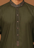 Basic  Poly Viscose Grape Leaf  Slim Fit Embroidered Suit