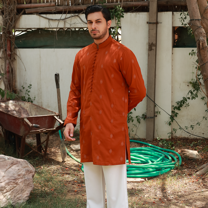 Men's Rust Poly Viscose Embroidered Kurta