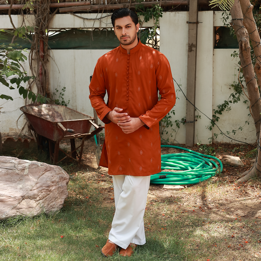 Men's Rust Poly Viscose Embroidered Kurta