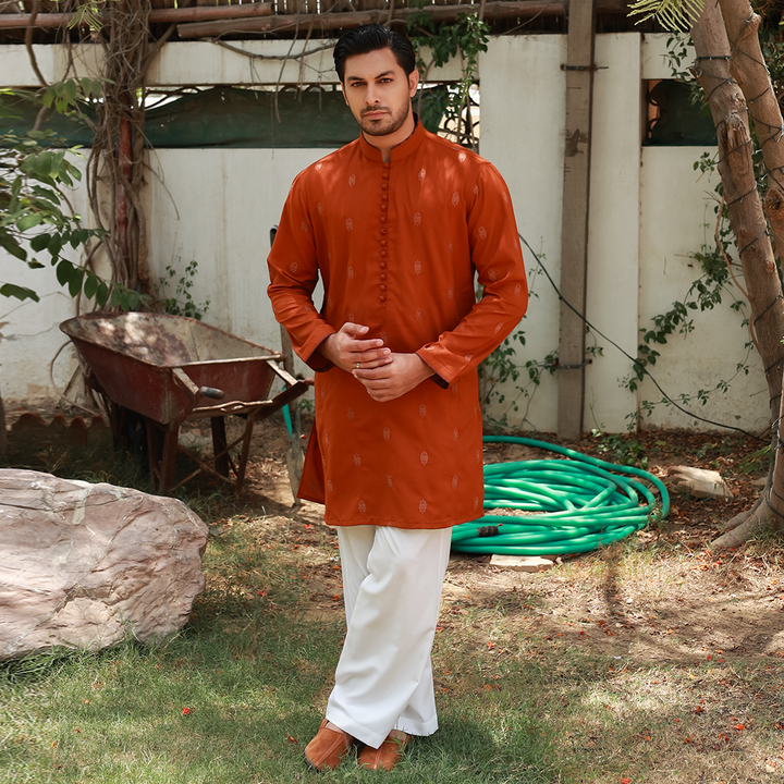 Men's Rust Poly Viscose Embroidered Kurta