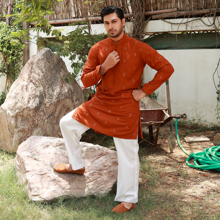 Men's Rust Poly Viscose Embroidered Kurta