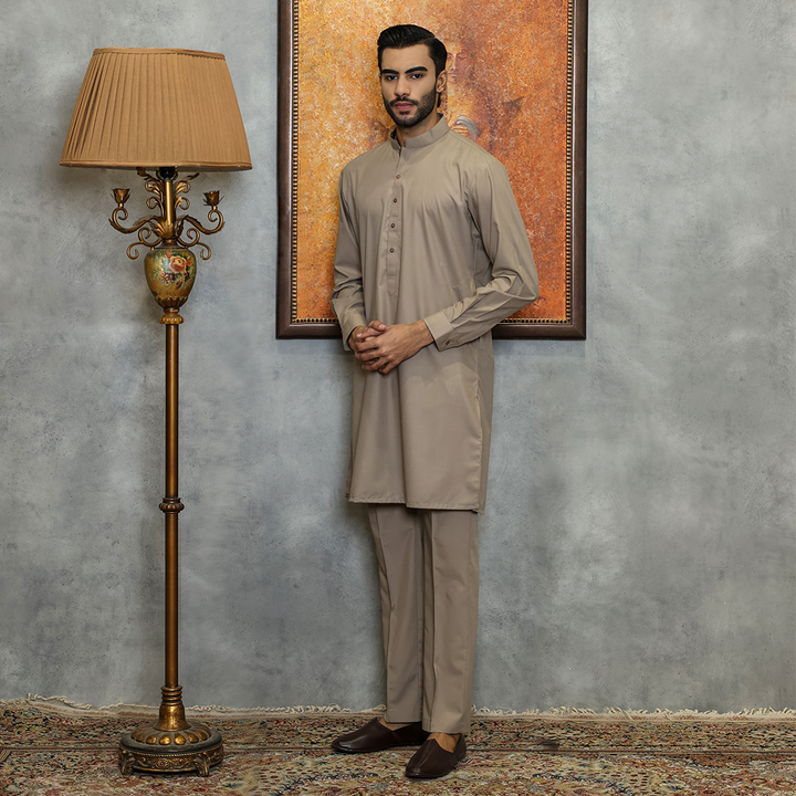Poly Viscose Taupe Gray Slim Fit Suit