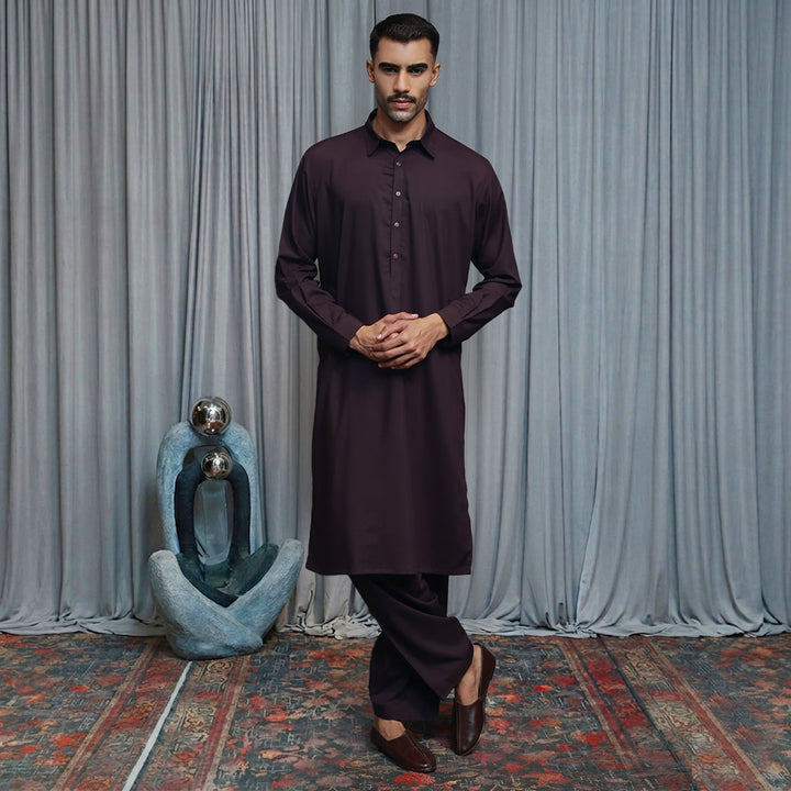 Poly Viscose Wine Tasting Slim Fit Suit