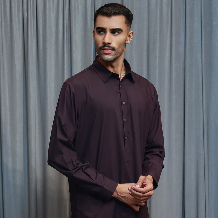Poly Viscose Wine Tasting Slim Fit Suit