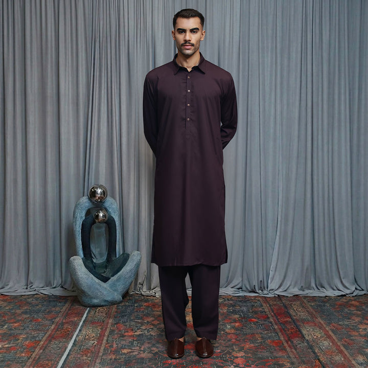 Poly Viscose Wine Tasting Slim Fit Suit
