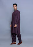 Basic Poly Viscose Maluki Seal Brown Classic Fit Embroidered Suit