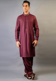 Basic Poly Viscose Wine Tasting Classic Fit Embroidered Suit